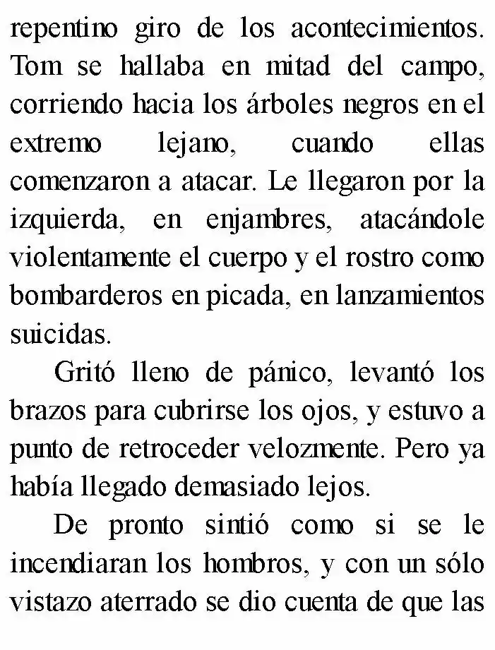 Negro: El Nacimiento Del Mal (Novela) - Capítulo 4 - Página 15 - LectorTMOo