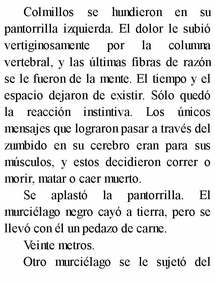 Negro: El Nacimiento Del Mal (Novela) - Capítulo 4 - Página 17 - LectorTMOo