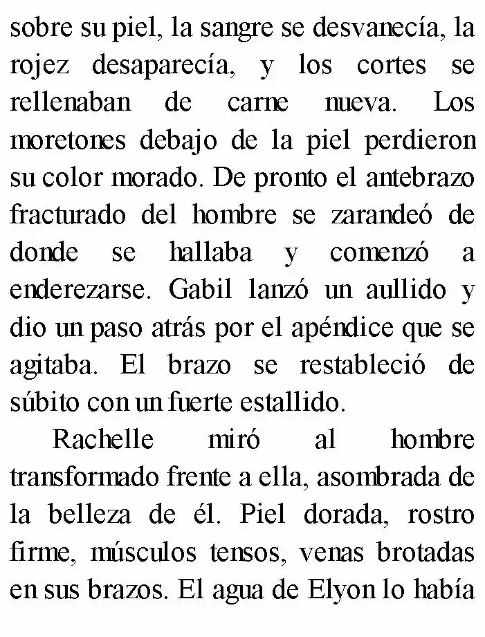 Negro: El Nacimiento Del Mal (Novela) - Capítulo 6 - Página 26 - LectorTMOo