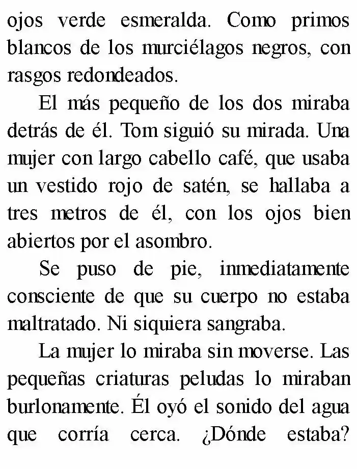 Negro: El Nacimiento Del Mal (Novela) - Capítulo 6 - Página 29 - LectorTMOo