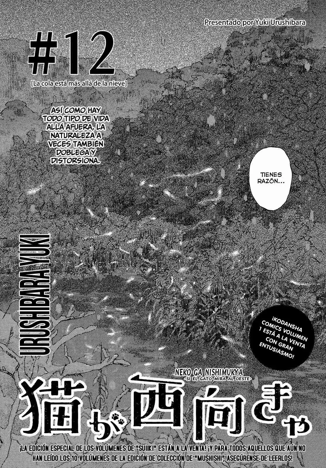 Neko Ga Nishi Mukya - Capítulo 12 - Página 3 - LectorTMOo