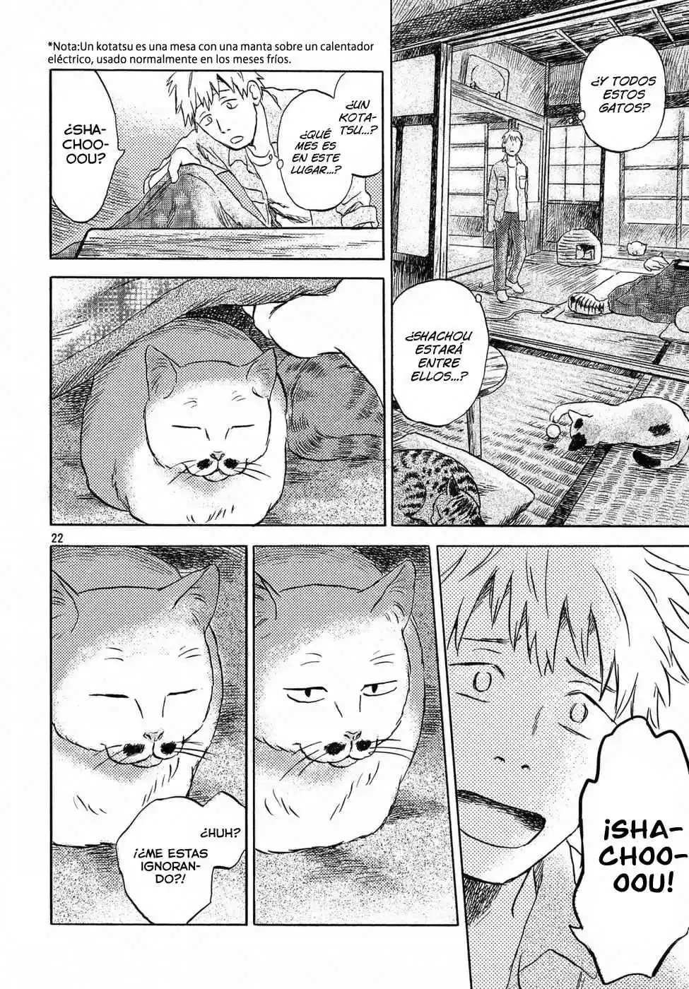 Neko Ga Nishi Mukya - Capítulo 3 - Página 23 - LectorTMOo