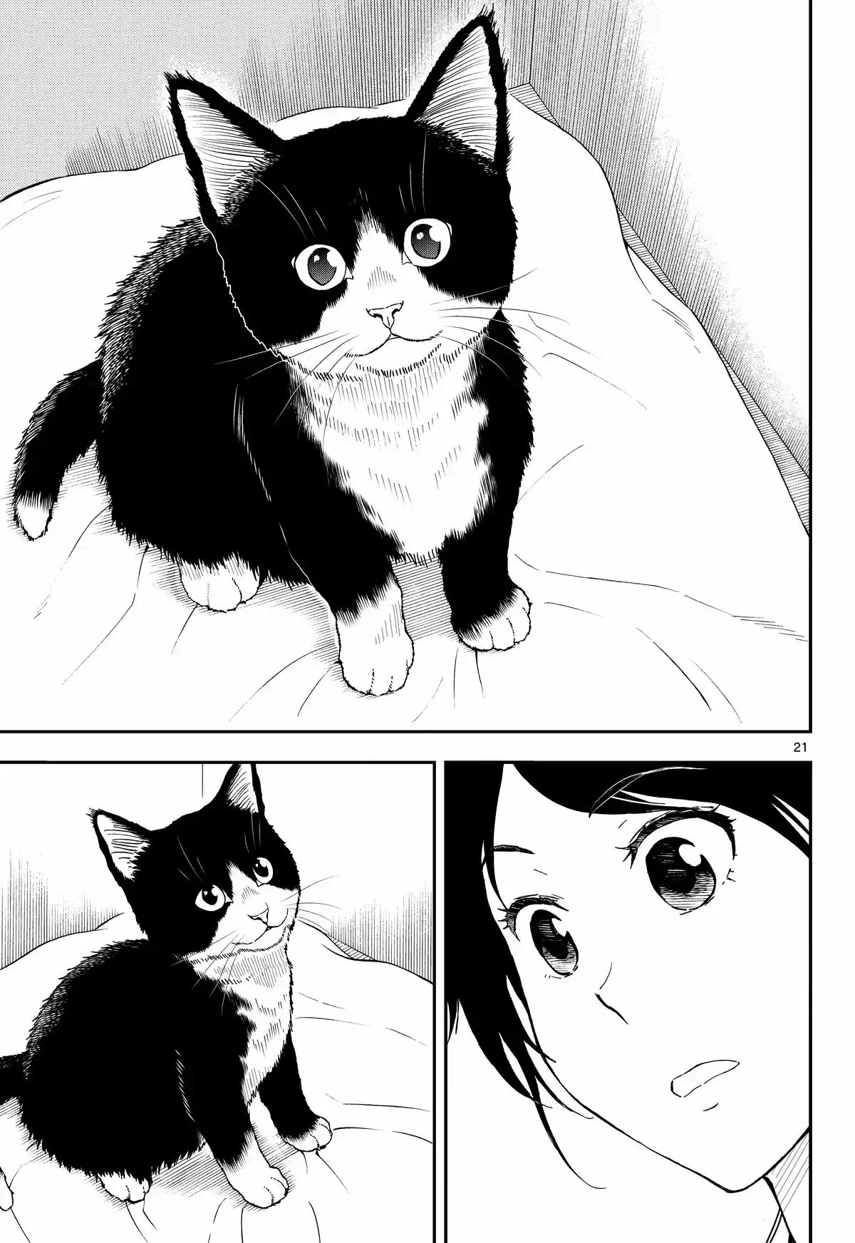 Neko Gurashi No Gamer-san - Capítulo 1 - Página 21 - LectorTMOo