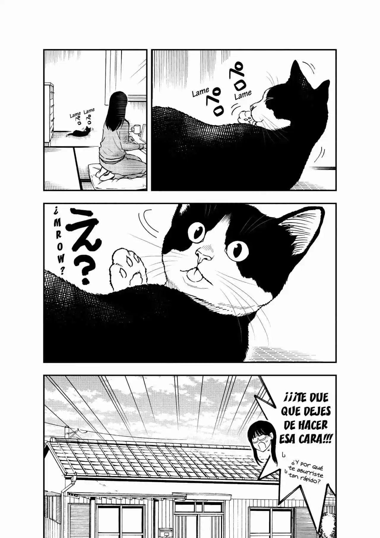 Neko Gurashi No Gamer-san - Capítulo 10 - Página 15 - LectorTMOo