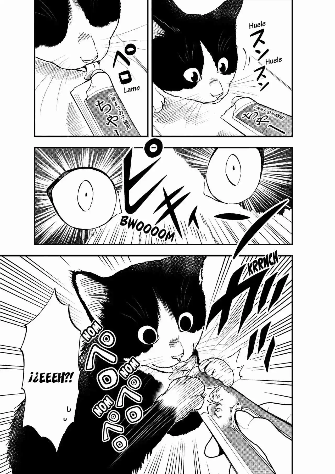 Neko Gurashi No Gamer-san - Capítulo 11 - Página 10 - LectorTMOo
