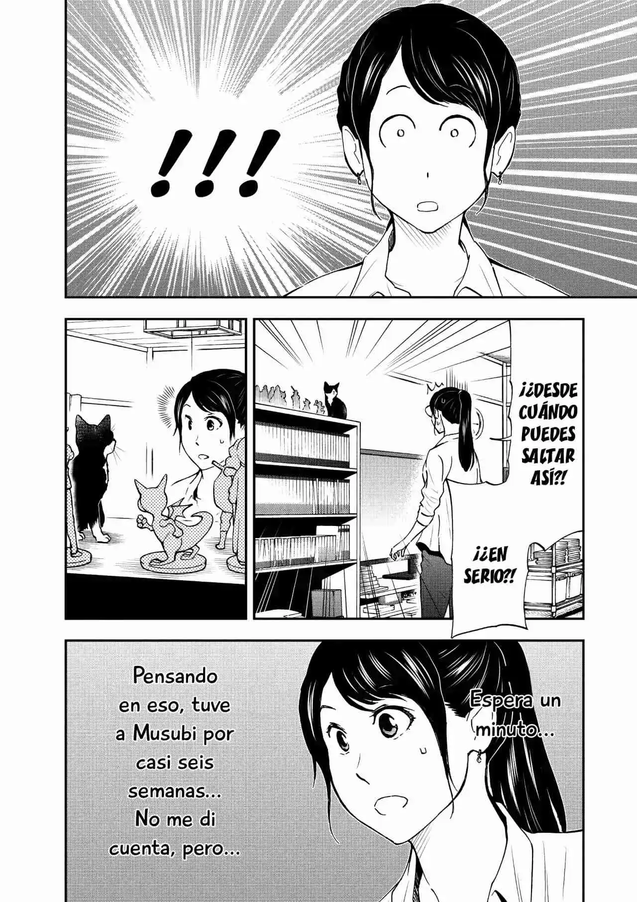 Neko Gurashi No Gamer-san - Capítulo 14 - Página 7 - LectorTMOo
