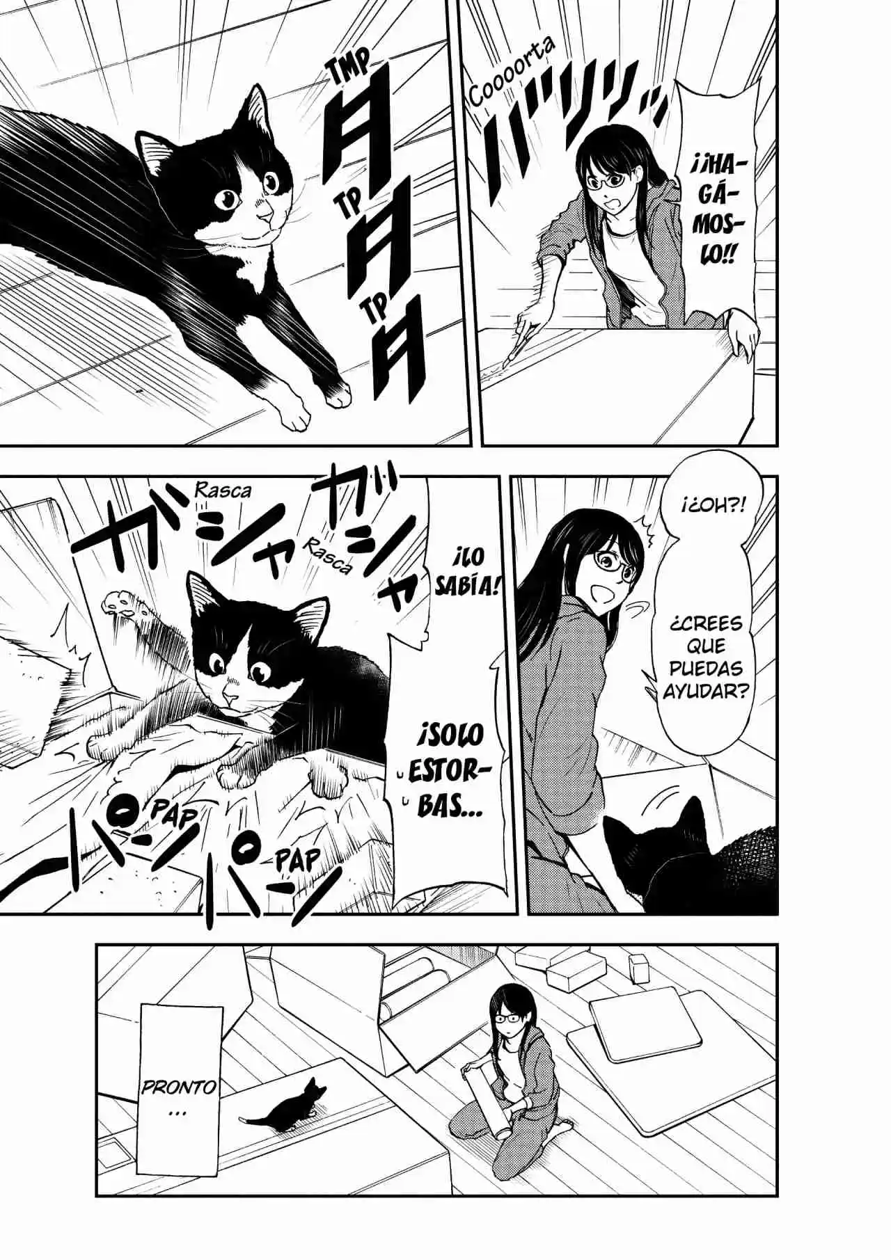 Neko Gurashi No Gamer-san - Capítulo 15 - Página 12 - LectorTMOo