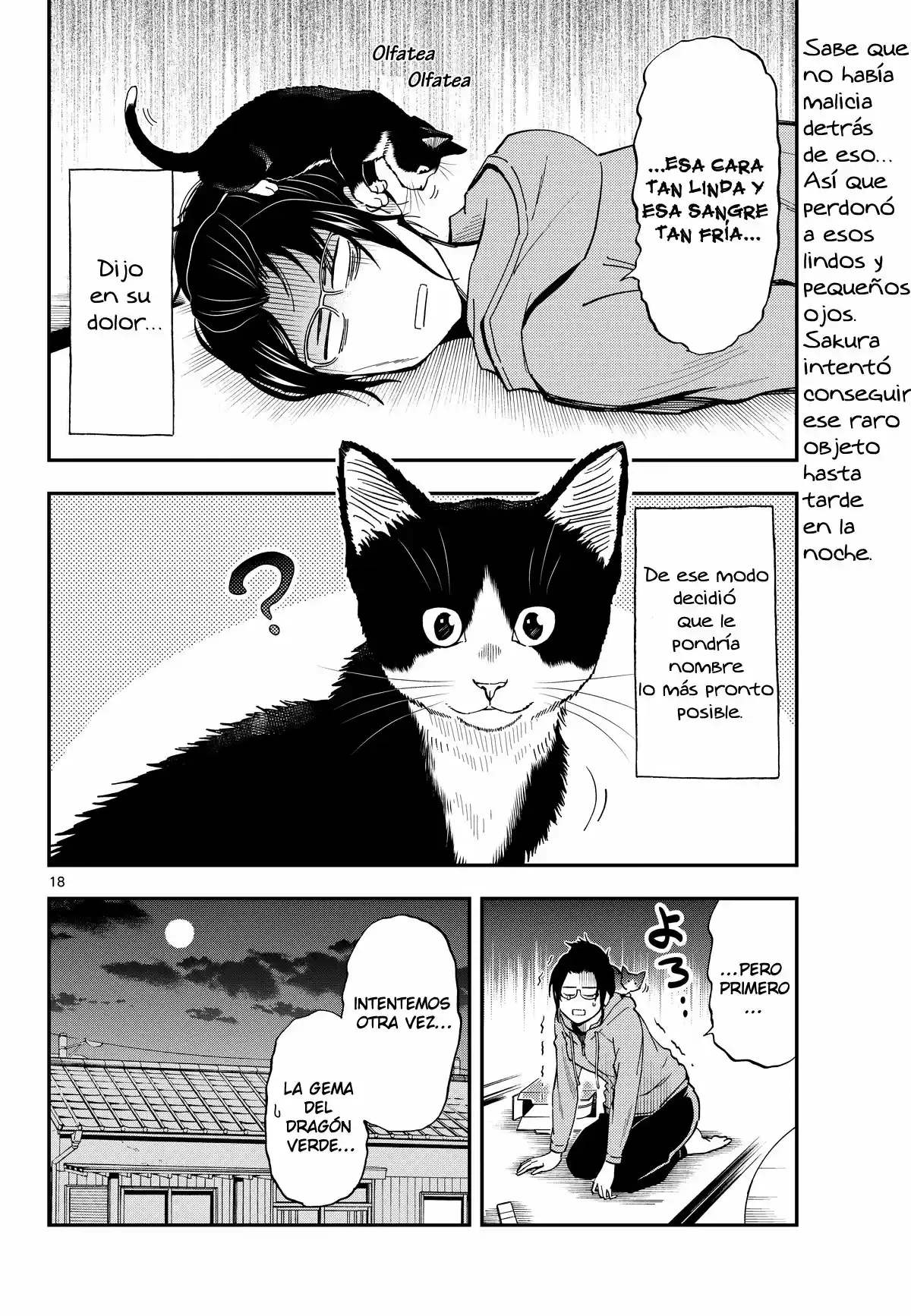 Neko Gurashi No Gamer-san - Capítulo 2 - Página 19 - LectorTMOo