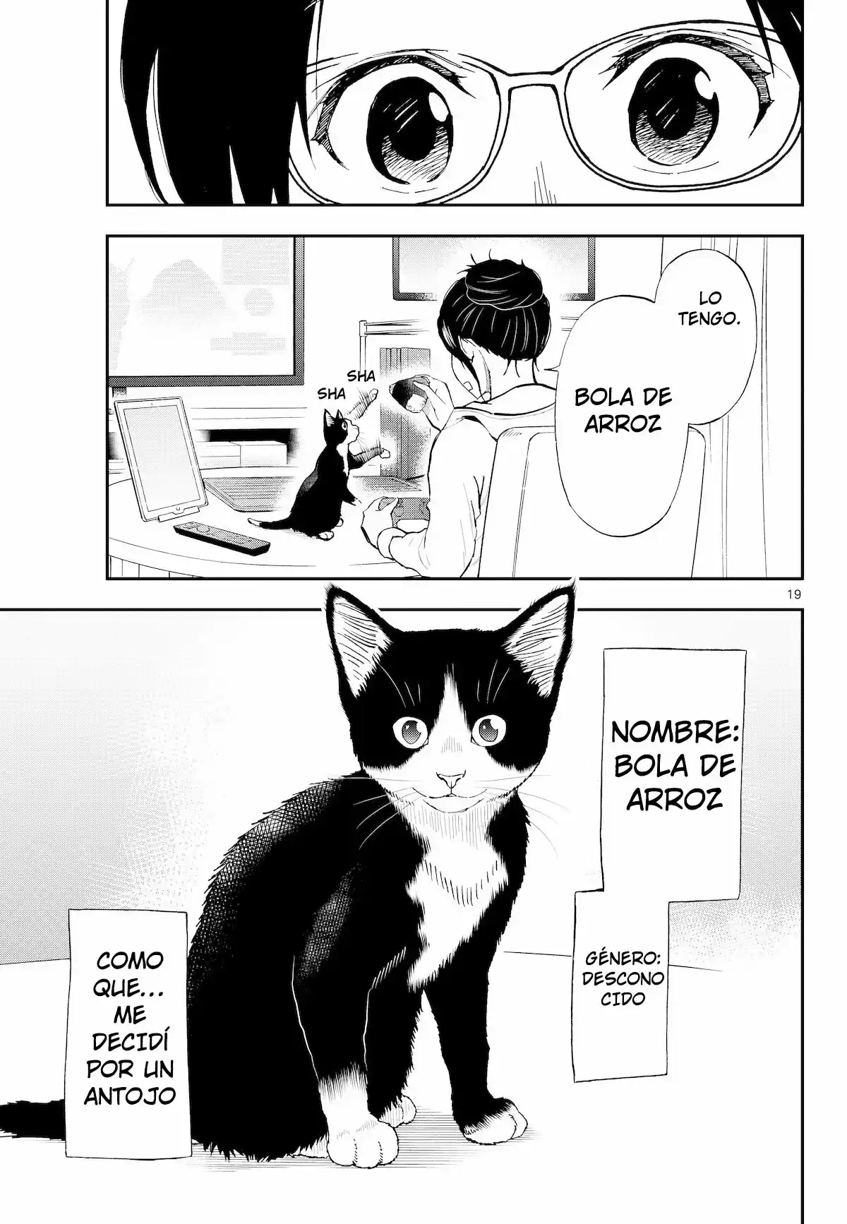 Neko Gurashi No Gamer-san - Capítulo 3 - Página 20 - LectorTMOo