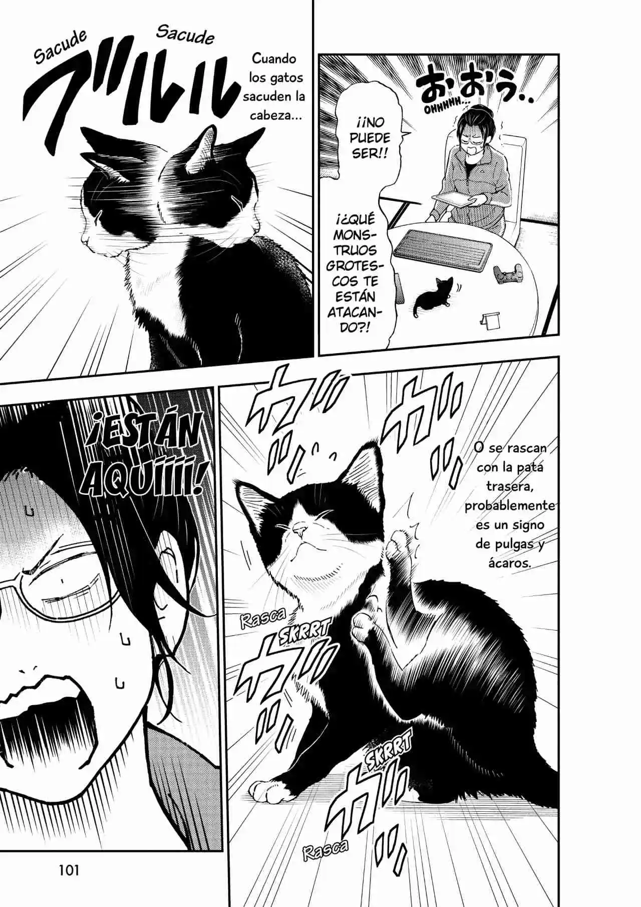 Neko Gurashi No Gamer-san - Capítulo 4 - Página 8 - LectorTMOo