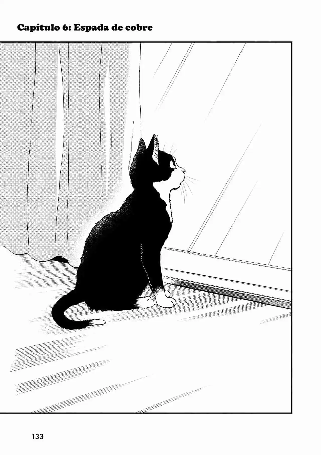 Neko Gurashi No Gamer-san - Capítulo 6 - Página 2 - LectorTMOo