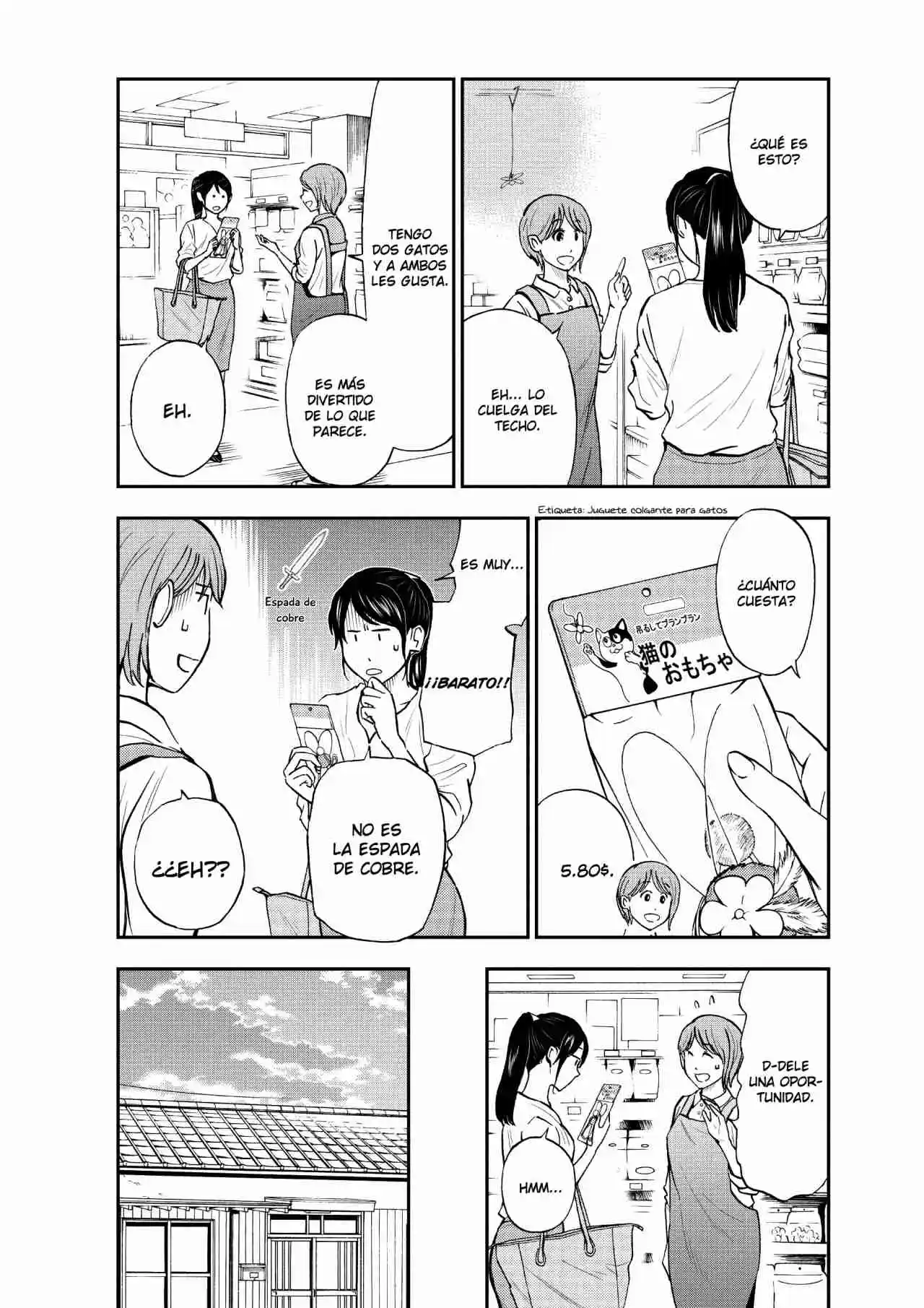 Neko Gurashi No Gamer-san - Capítulo 6 - Página 17 - LectorTMOo