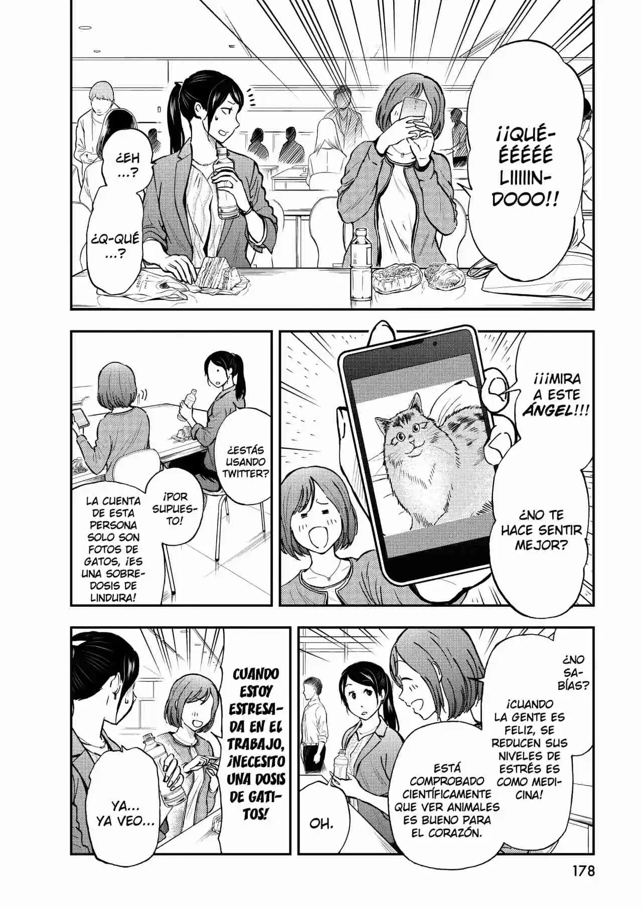 Neko Gurashi No Gamer-san - Capítulo 8 - Página 7 - LectorTMOo