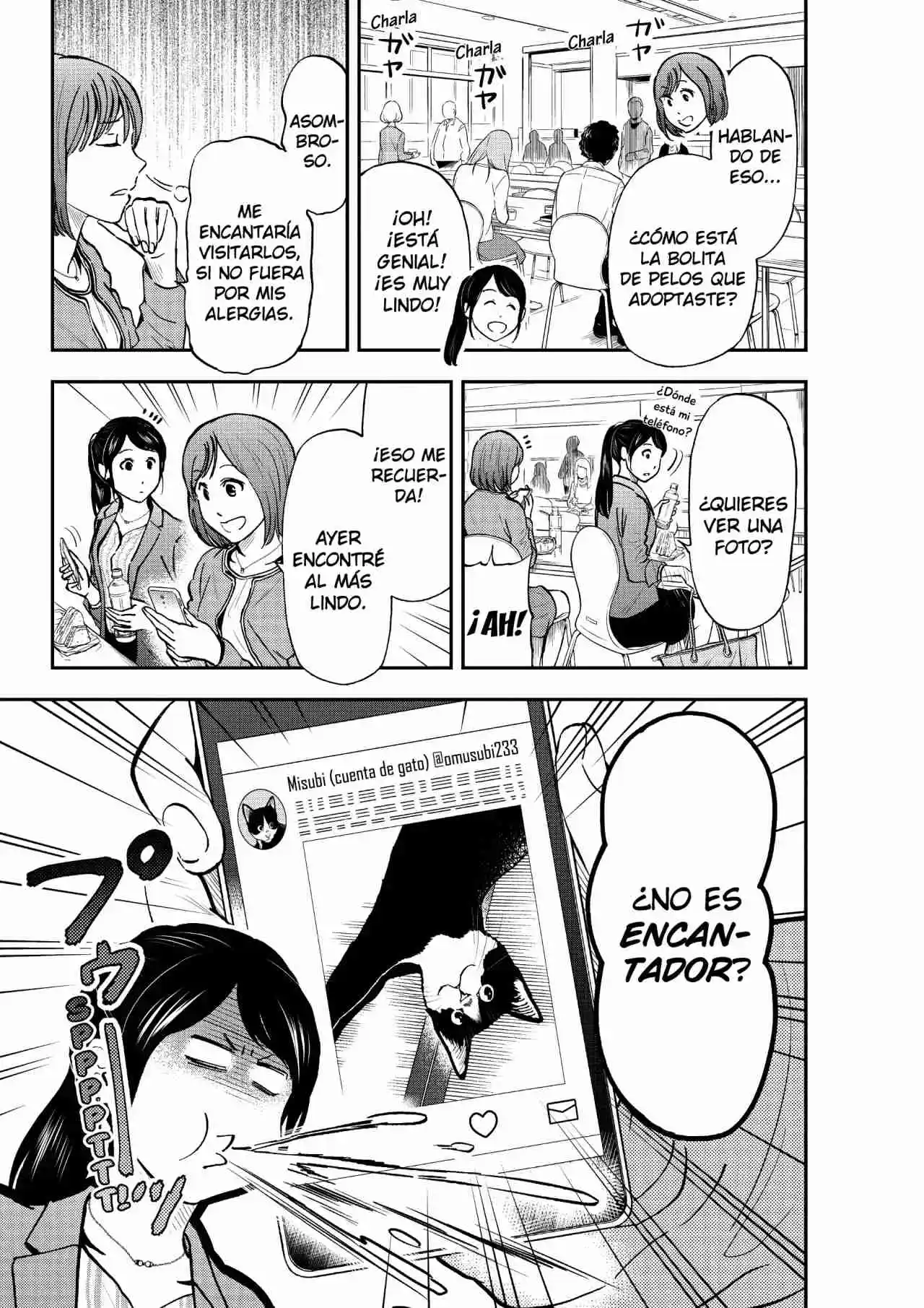 Neko Gurashi No Gamer-san - Capítulo 8 - Página 8 - LectorTMOo