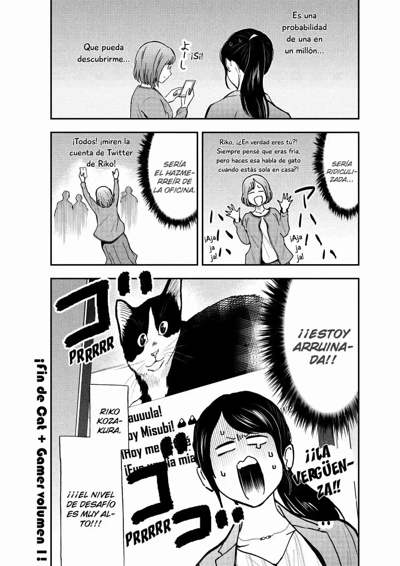 Neko Gurashi No Gamer-san - Capítulo 8 - Página 13 - LectorTMOo