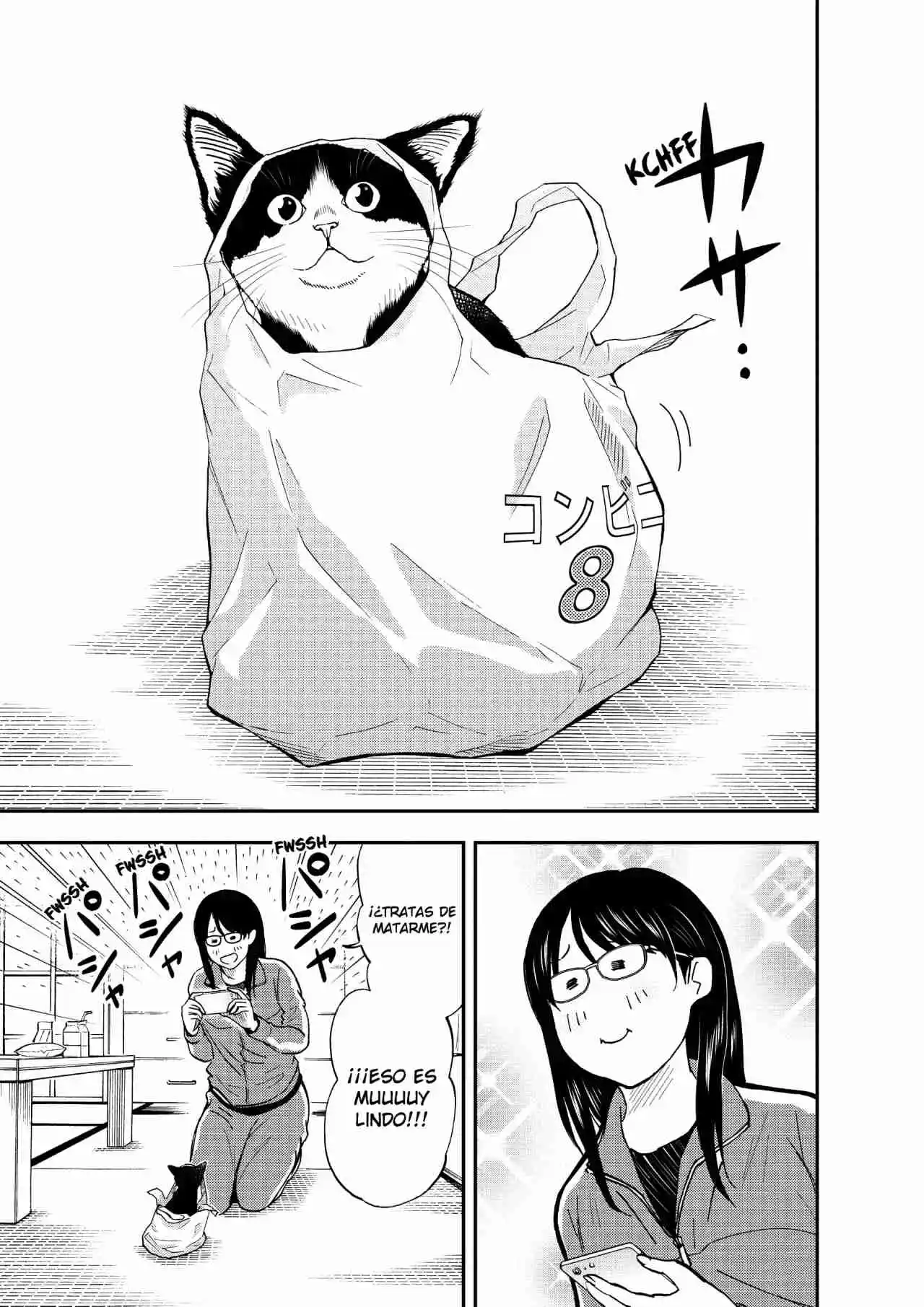 Neko Gurashi No Gamer-san - Capítulo 9 - Página 17 - LectorTMOo