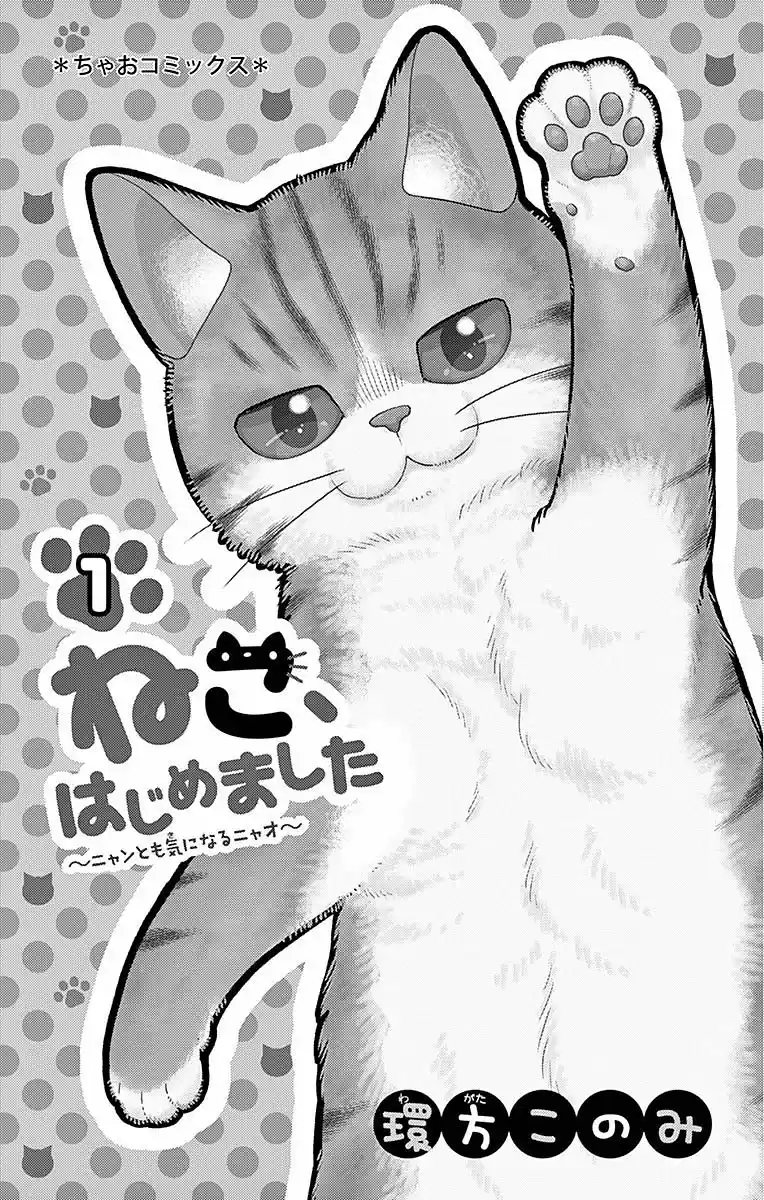 Neko Hajimemashita, Nyantomo Ki Ni Naru Nyao - Capítulo 1 - Página 5 - LectorTMOo
