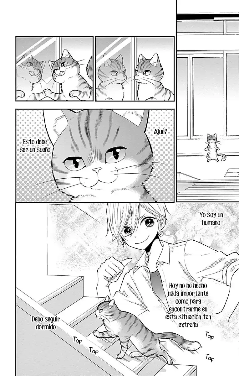 Neko Hajimemashita, Nyantomo Ki Ni Naru Nyao - Capítulo 1 - Página 10 - LectorTMOo