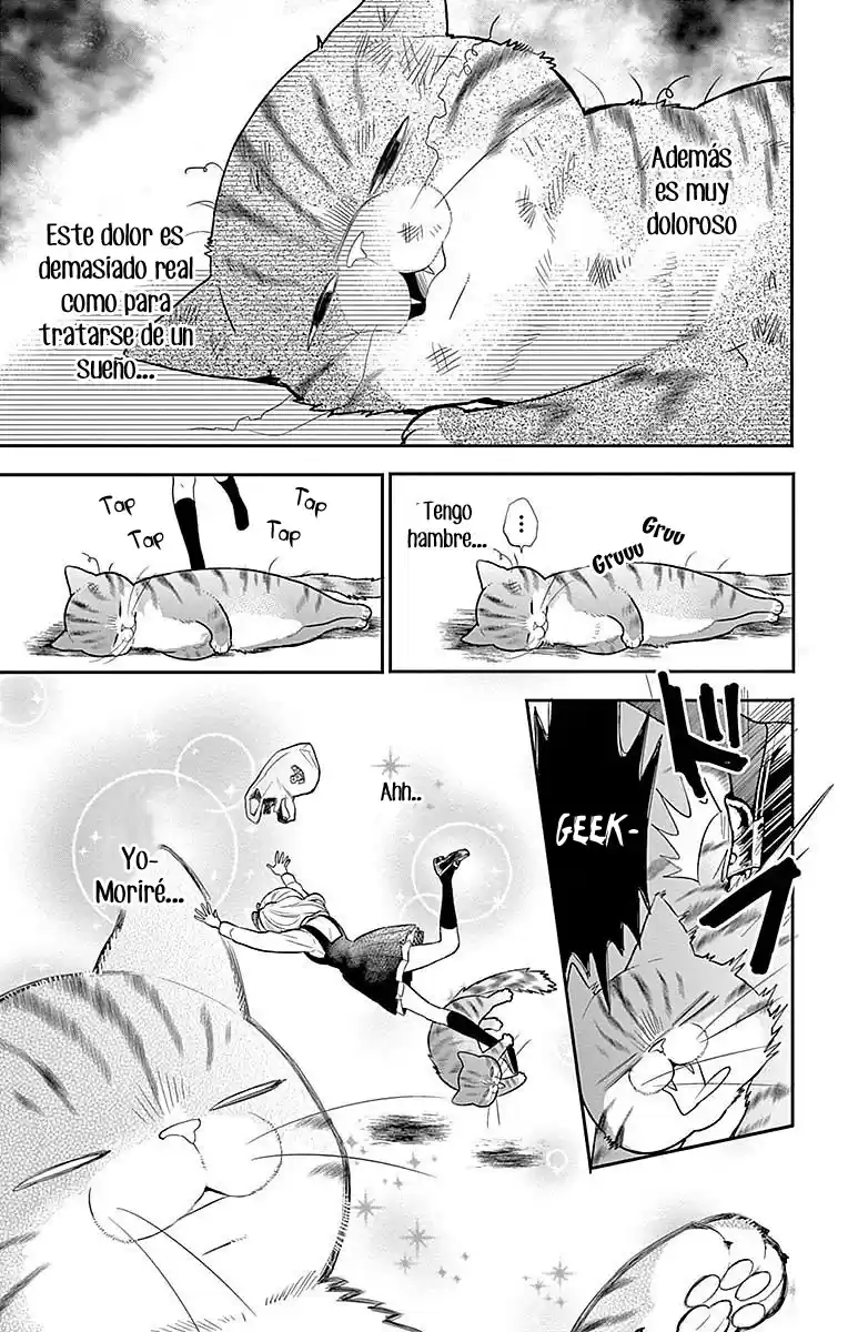Neko Hajimemashita, Nyantomo Ki Ni Naru Nyao - Capítulo 1 - Página 15 - LectorTMOo