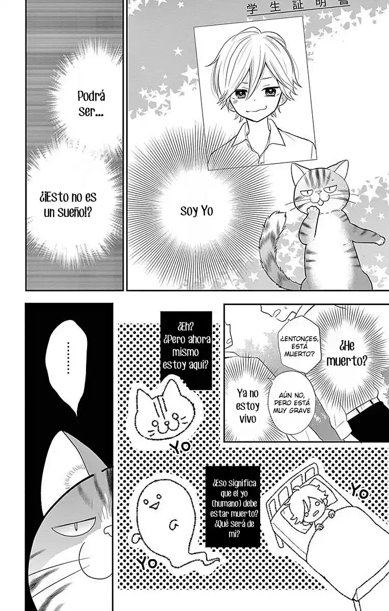 Neko Hajimemashita, Nyantomo Ki Ni Naru Nyao - Capítulo 1 - Página 22 - LectorTMOo