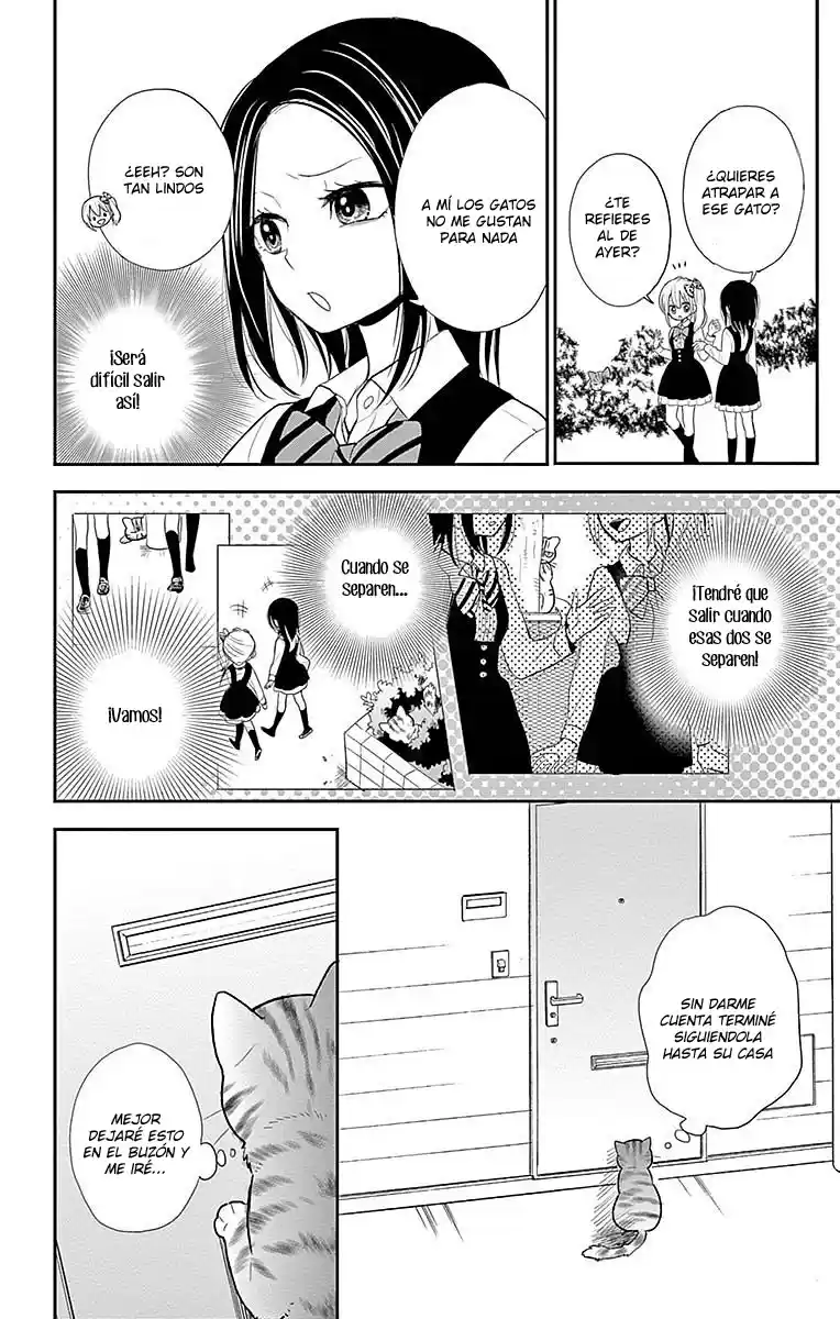 Neko Hajimemashita, Nyantomo Ki Ni Naru Nyao - Capítulo 1 - Página 24 - LectorTMOo