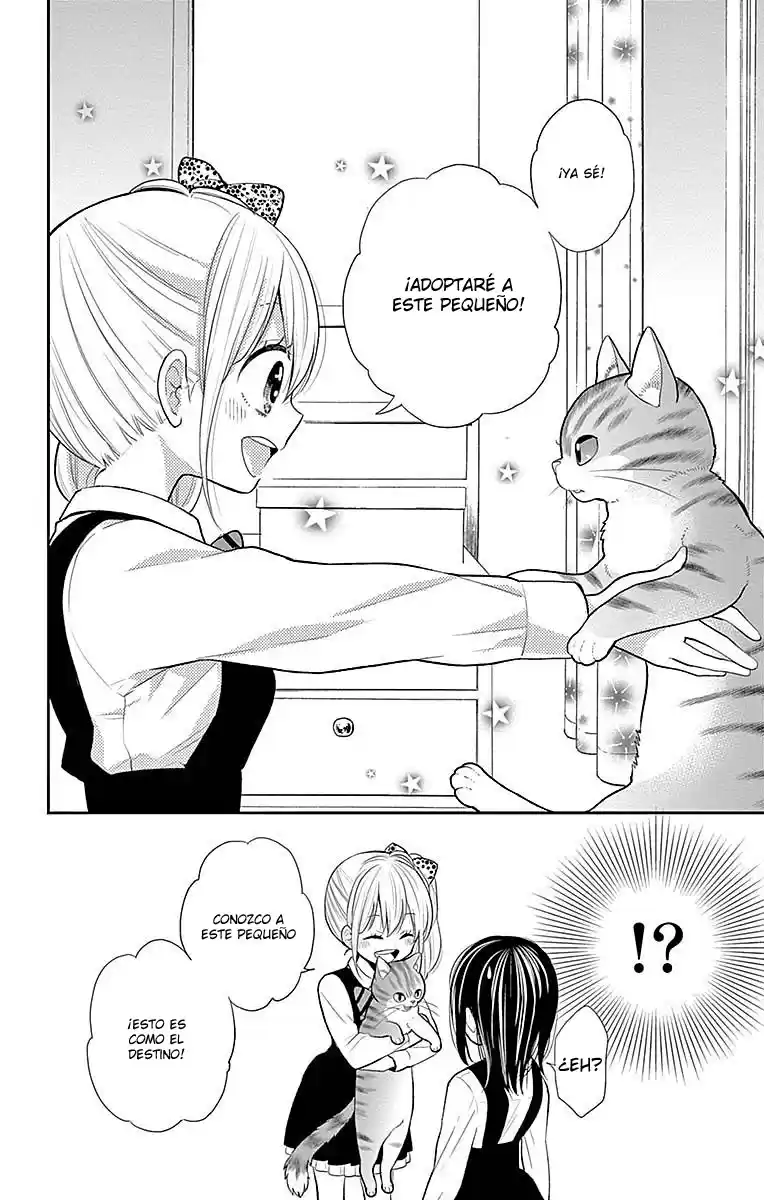 Neko Hajimemashita, Nyantomo Ki Ni Naru Nyao - Capítulo 1 - Página 30 - LectorTMOo