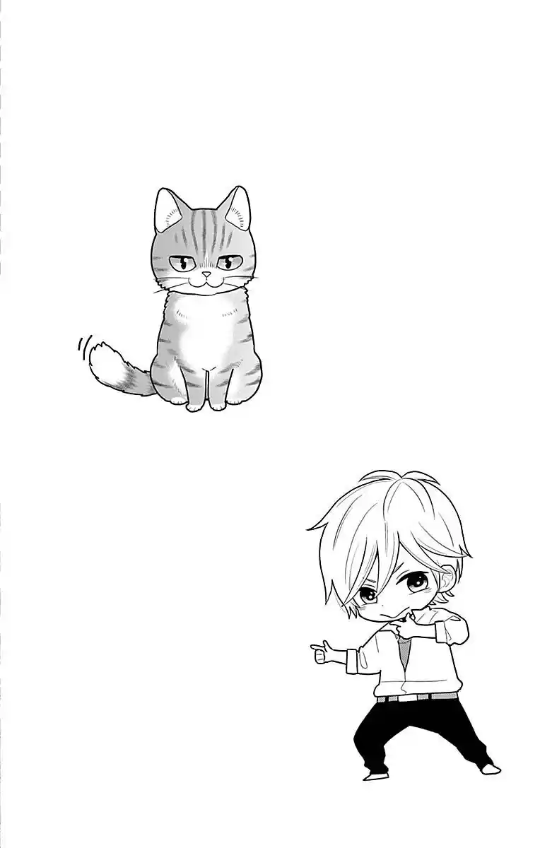 Neko Hajimemashita, Nyantomo Ki Ni Naru Nyao - Capítulo 1 - Página 32 - LectorTMOo