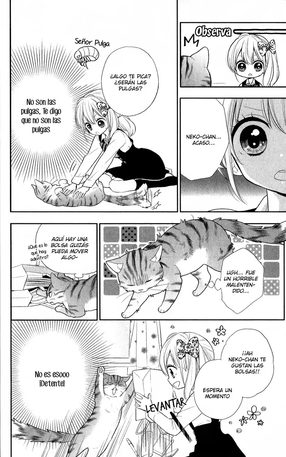 Neko Hajimemashita, Nyantomo Ki Ni Naru Nyao - Capítulo 2 - Página 6 - LectorTMOo