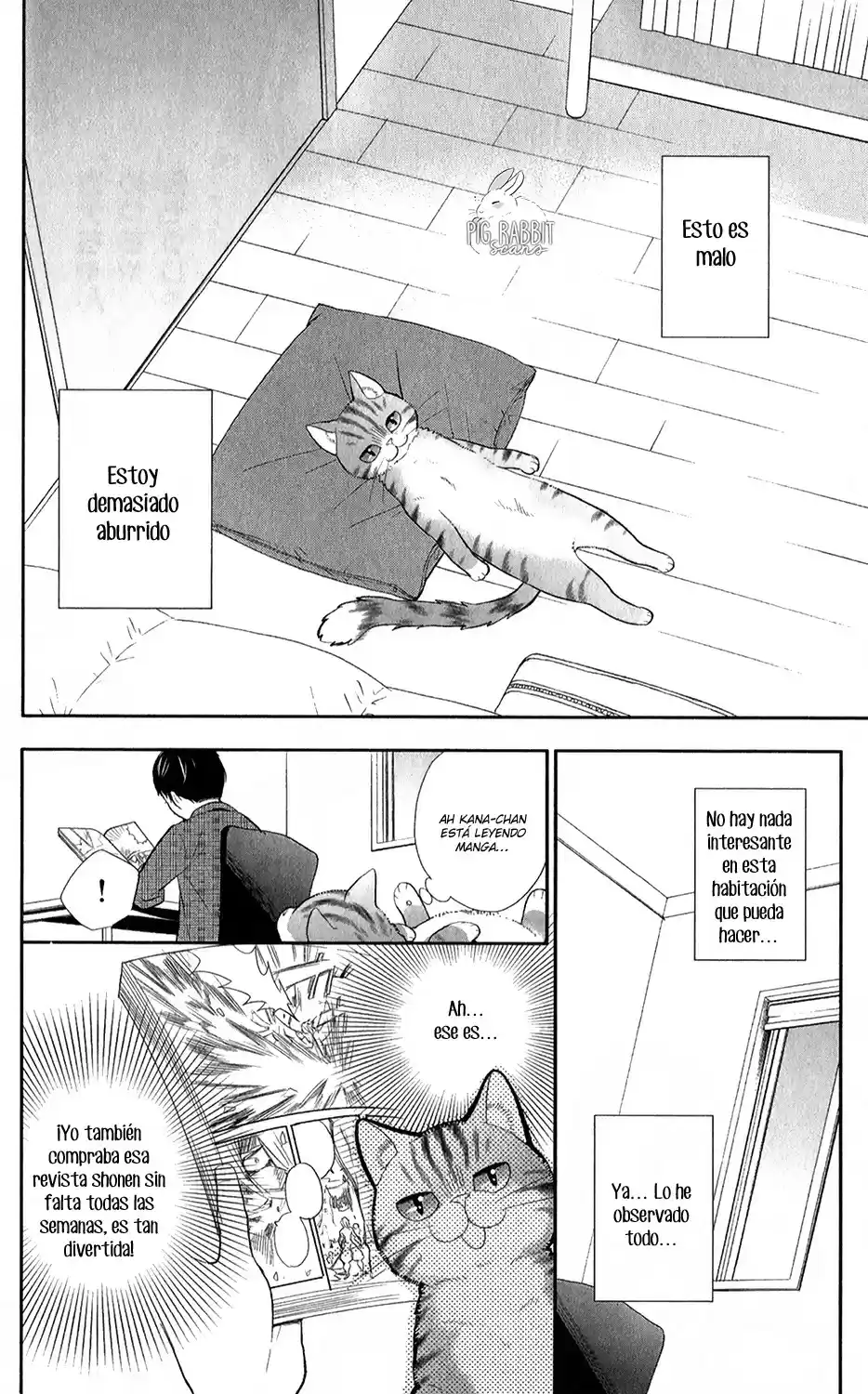 Neko Hajimemashita, Nyantomo Ki Ni Naru Nyao - Capítulo 2 - Página 12 - LectorTMOo