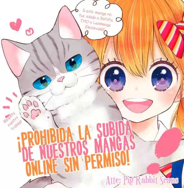 Neko Hajimemashita, Nyantomo Ki Ni Naru Nyao - Capítulo 2 - Página 17 - LectorTMOo