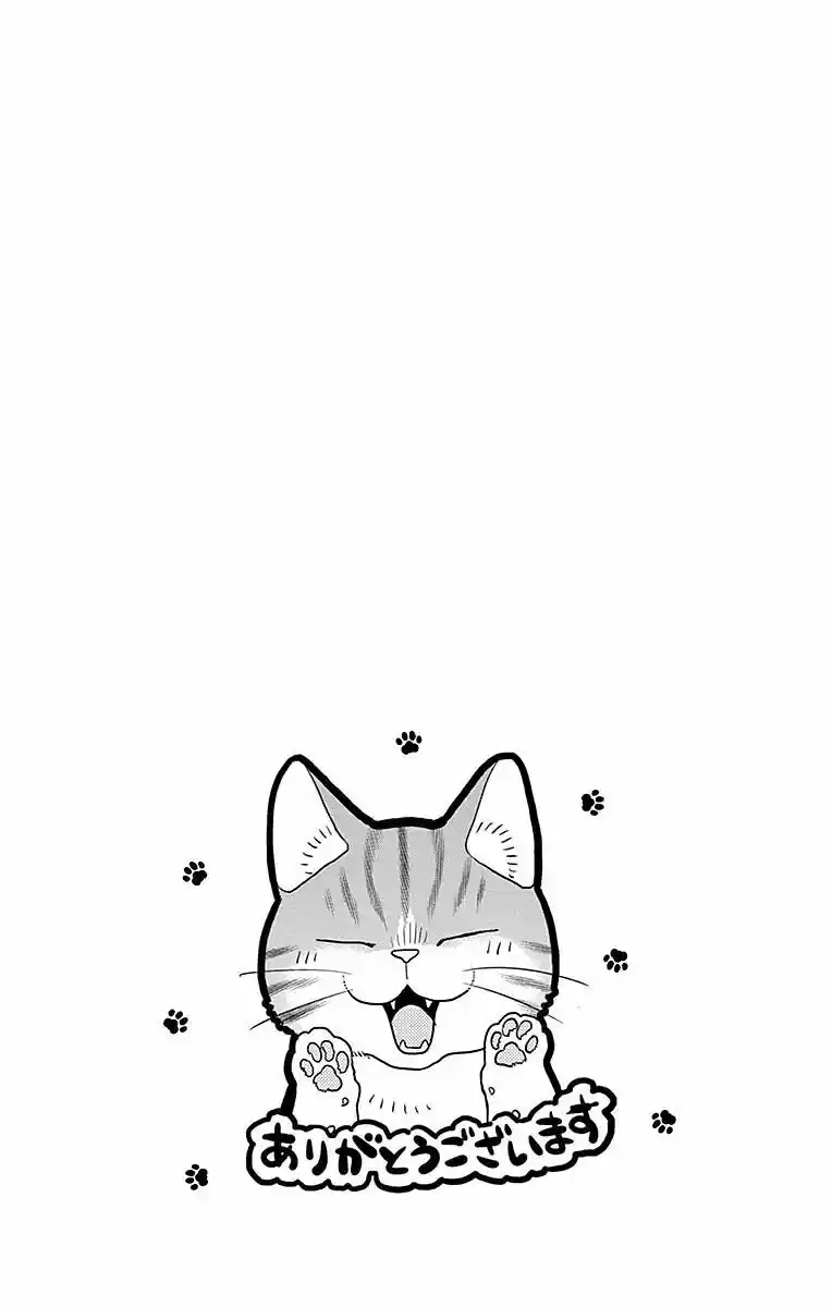 Neko, Hajimemashita - Capítulo 1 - Página 6 - LectorTMOo