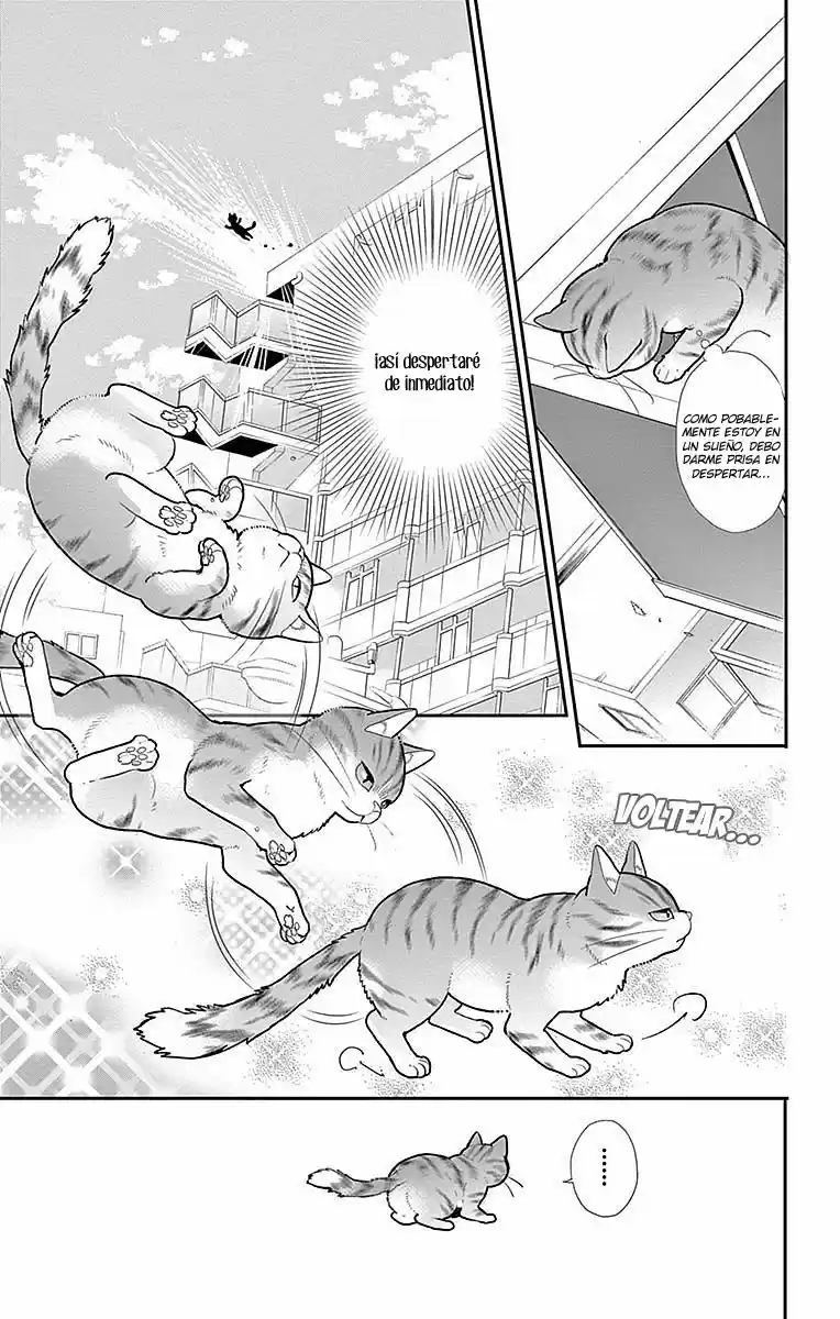 Neko, Hajimemashita - Capítulo 1 - Página 9 - LectorTMOo