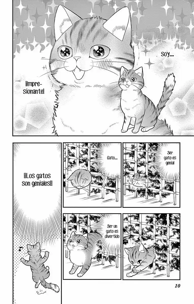 Neko, Hajimemashita - Capítulo 1 - Página 10 - LectorTMOo