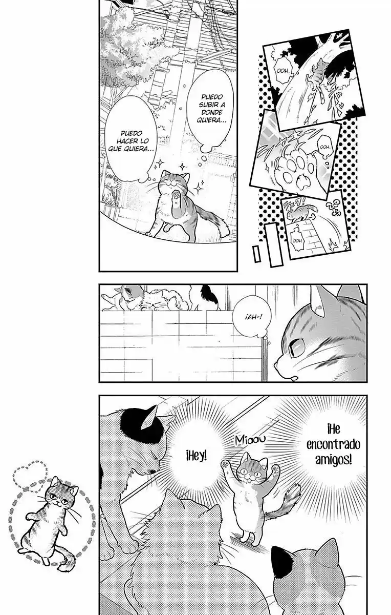 Neko, Hajimemashita - Capítulo 1 - Página 11 - LectorTMOo