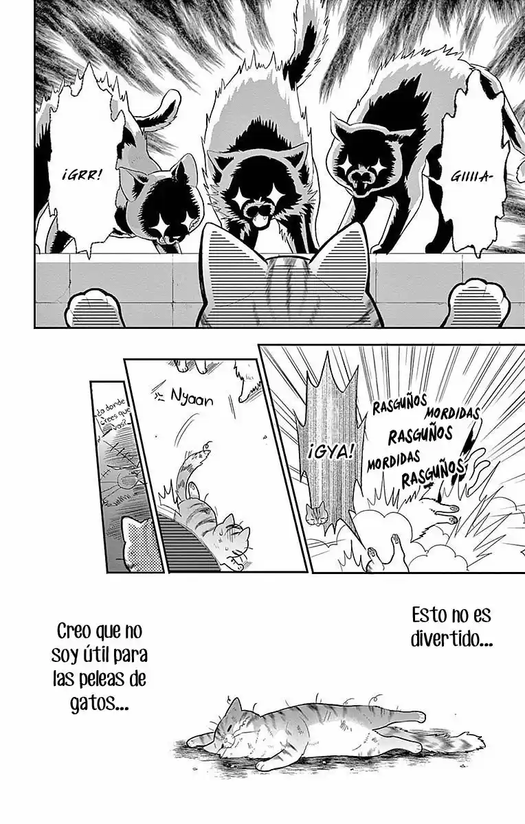 Neko, Hajimemashita - Capítulo 1 - Página 12 - LectorTMOo