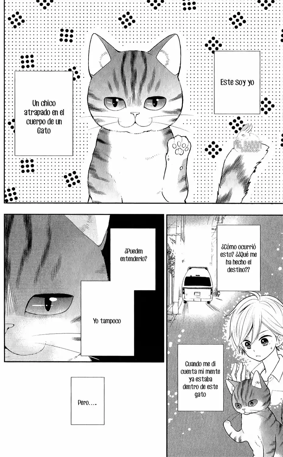 Neko, Hajimemashita - Capítulo 2 - Página 6 - LectorTMOo