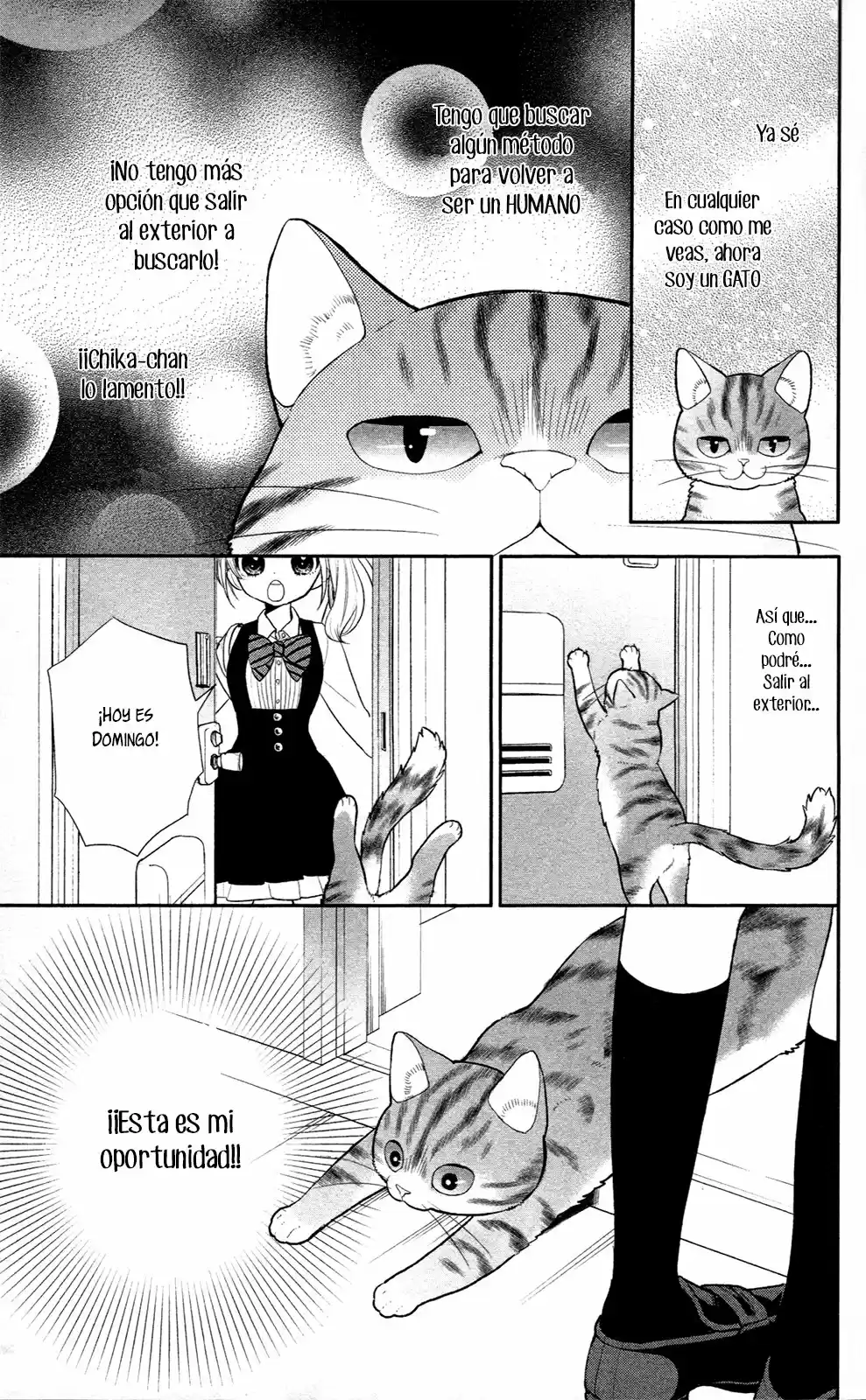 Neko, Hajimemashita - Capítulo 3 - Página 16 - LectorTMOo