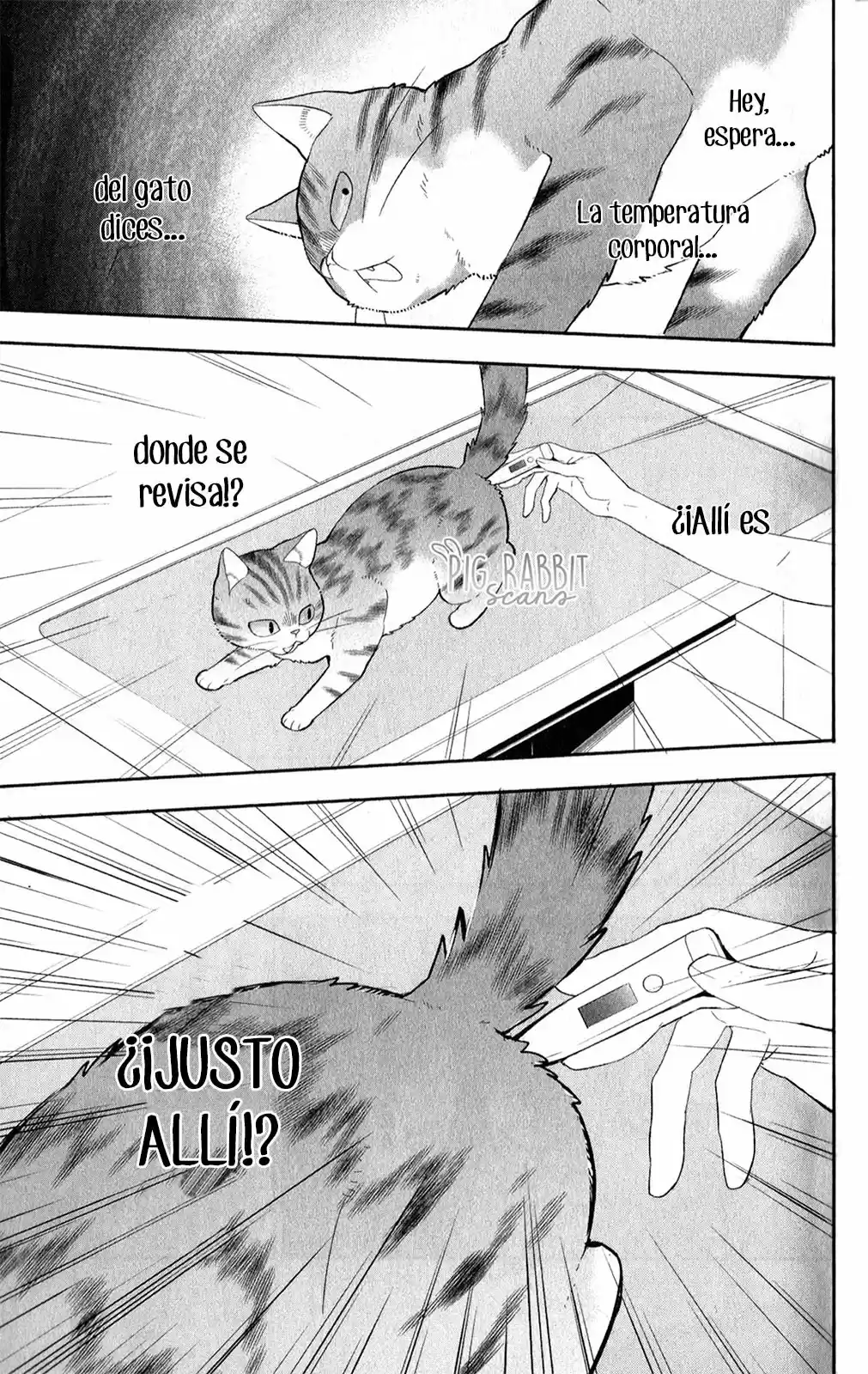 Neko, Hajimemashita - Capítulo 4 - Página 22 - LectorTMOo
