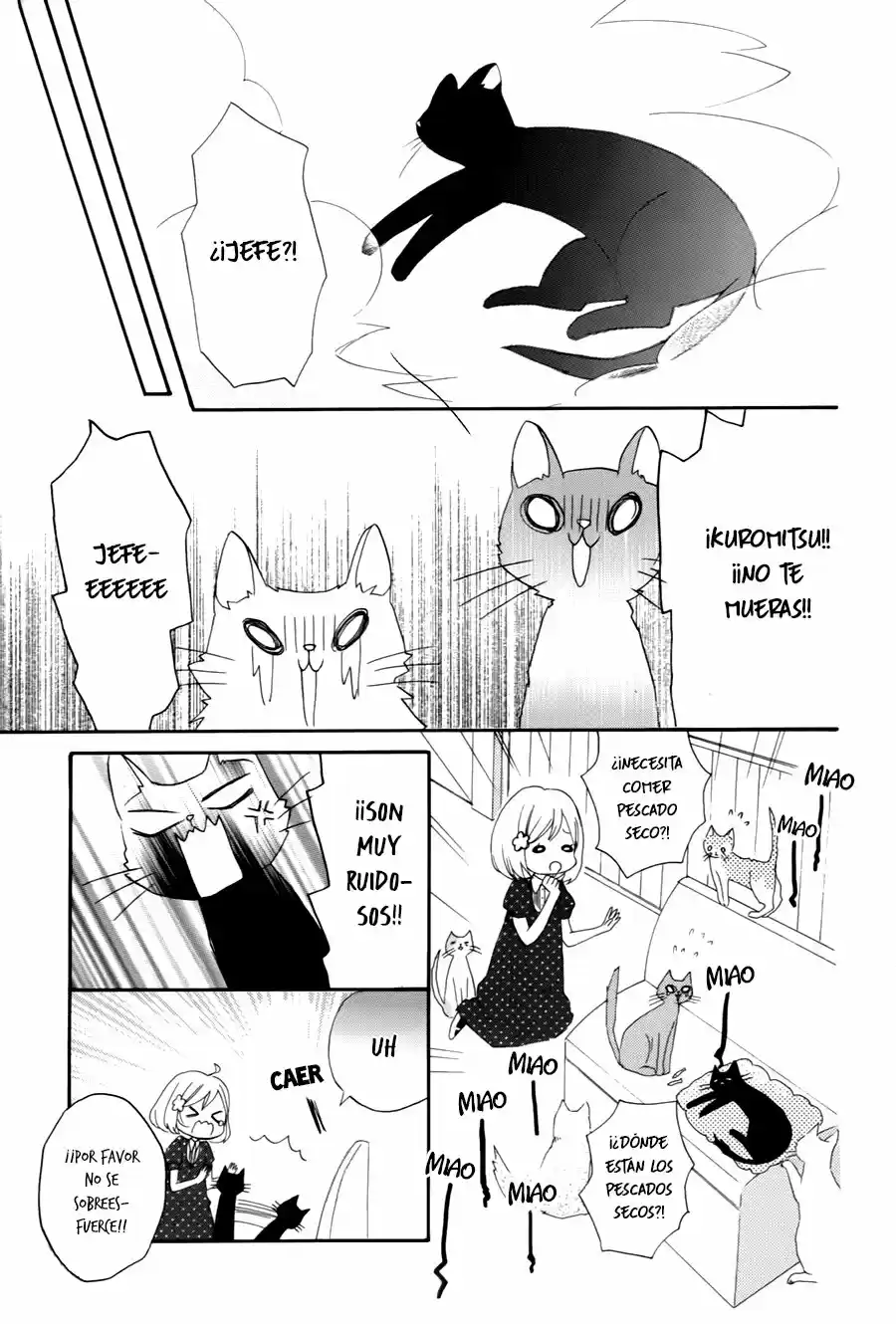 Neko-Kissa Kuromitsu-Tou - Capítulo 1 - Página 31 - LectorTMOo