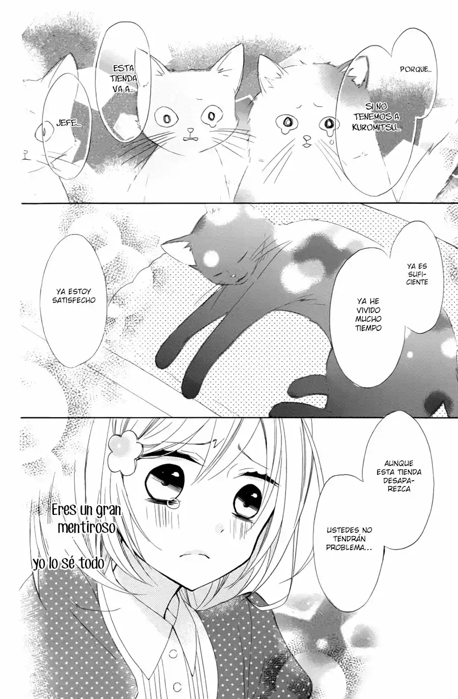 Neko-Kissa Kuromitsu-Tou - Capítulo 1 - Página 32 - LectorTMOo