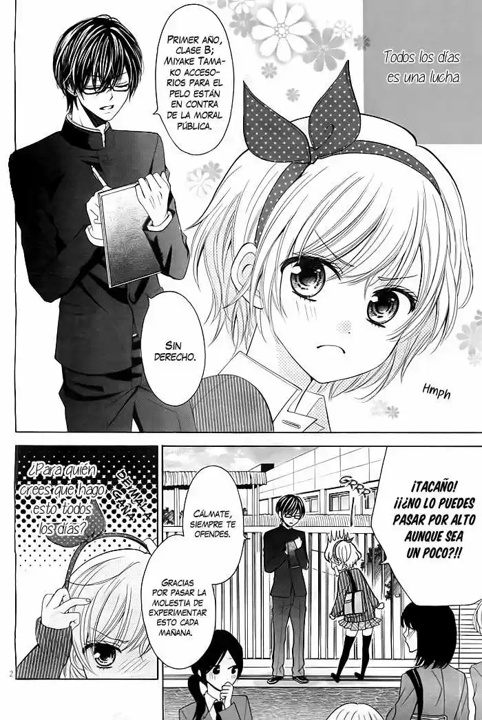Neko Mimi Wa Yamerarenai - Capítulo - Página 3 - LectorTMOo