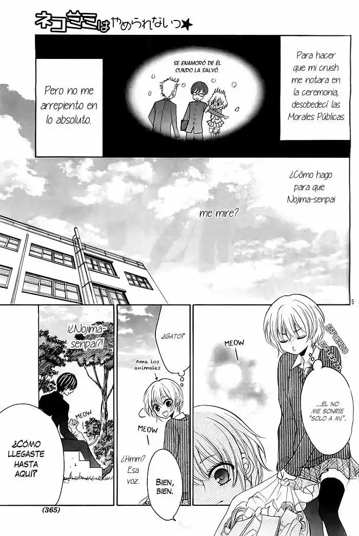Neko Mimi Wa Yamerarenai - Capítulo - Página 6 - LectorTMOo