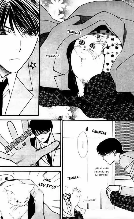 Neko Neko Honey - Capítulo 1 - Página 14 - LectorTMOo