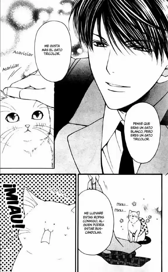 Neko Neko Honey - Capítulo 1 - Página 16 - LectorTMOo