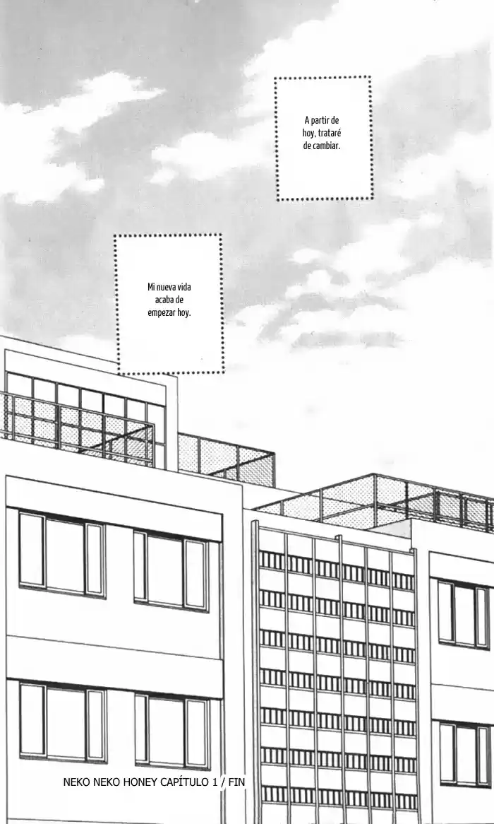 Neko Neko Honey - Capítulo 1 - Página 38 - LectorTMOo