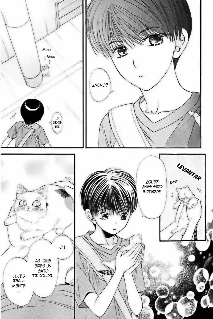 Neko Neko Honey - Capítulo 2.10 - Página 7 - LectorTMOo