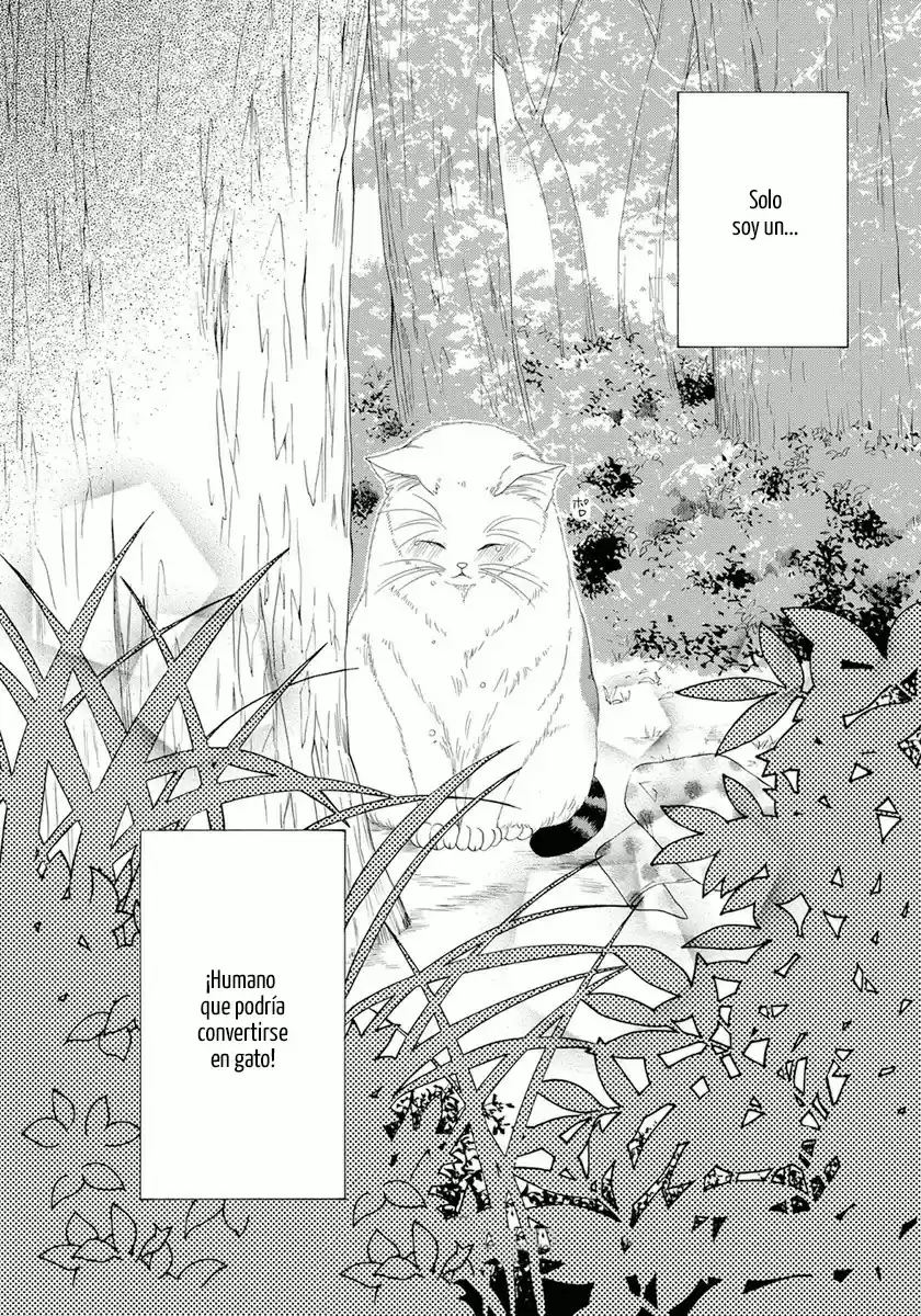 Neko Neko Honey capítulo 3 página 36
