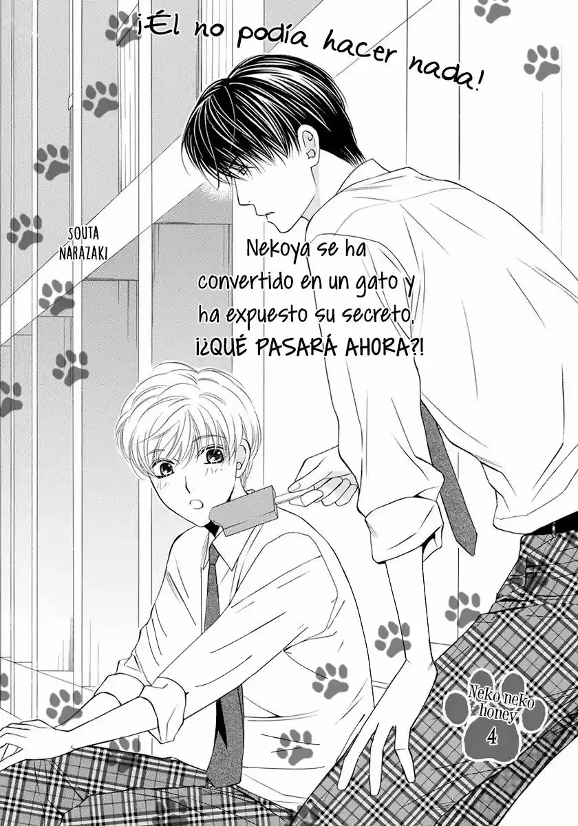 Neko Neko Honey - Capítulo 4 - Página 5 - LectorTMOo
