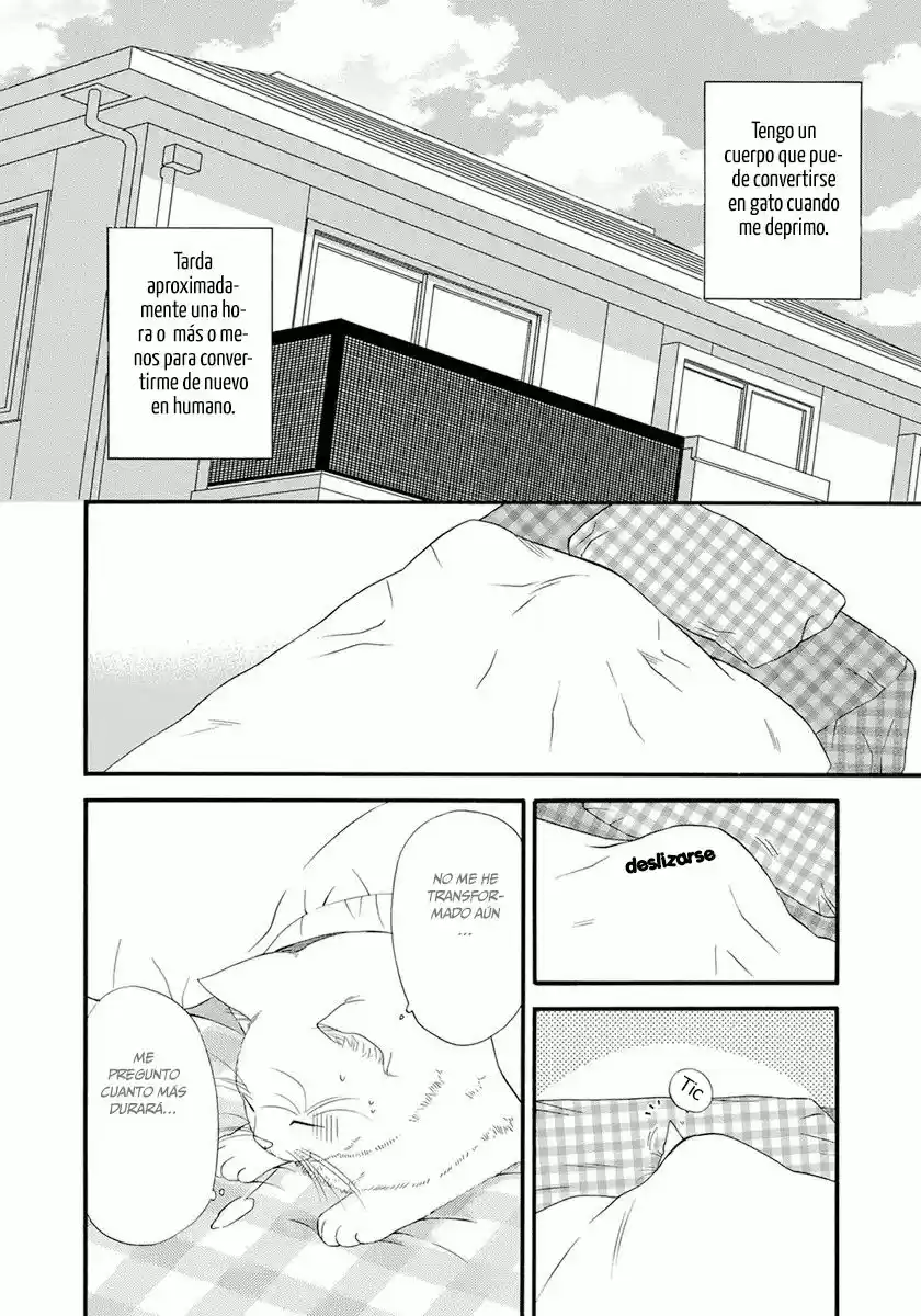 Neko Neko Honey - Capítulo 4 - Página 6 - LectorTMOo