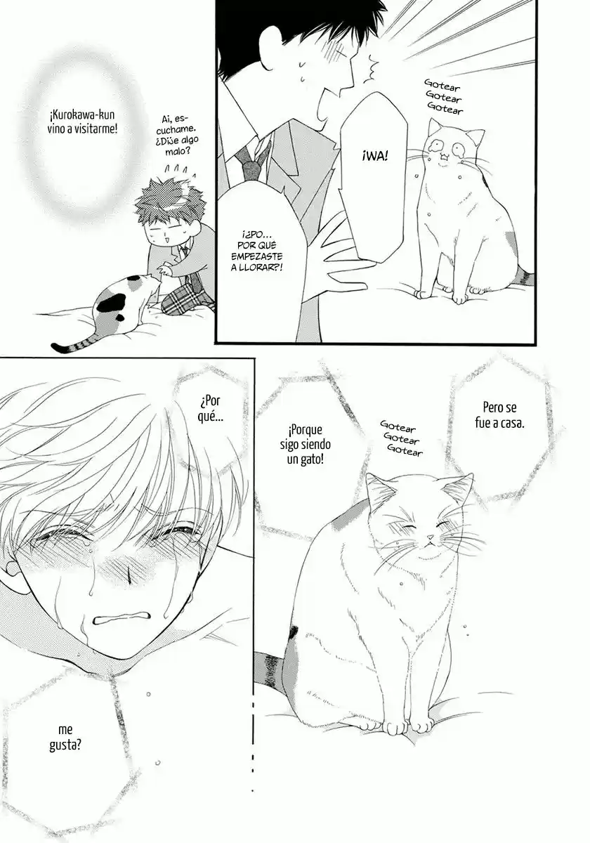 Neko Neko Honey - Capítulo 4 - Página 11 - LectorTMOo